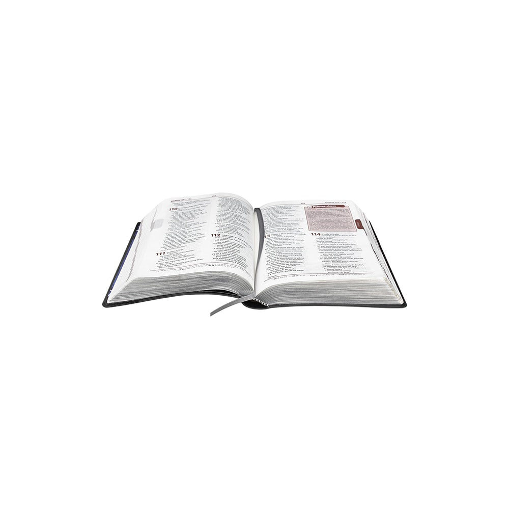 Bíblia de Estudo Plenitude para Jovens | Letra Normal | NTLH | Capa Couro Cinza Escuro