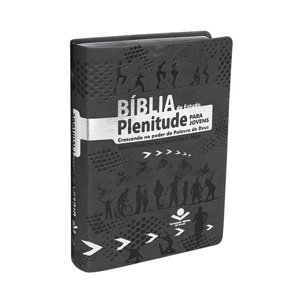 Bíblia de Estudo Plenitude para Jovens | Letra Normal | NTLH | Capa Couro Cinza Escuro