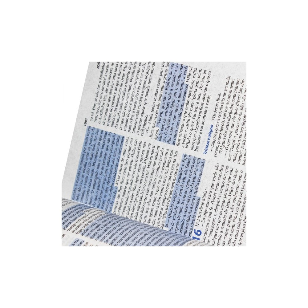 Bíblia Sagrada Com Fonte de Bênçãos | NTLH | Capa feminina