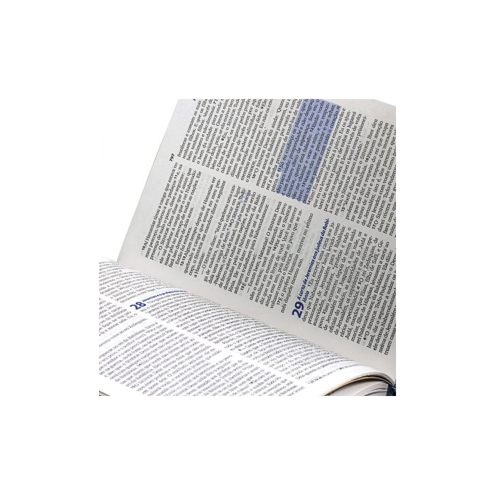 Bíblia Ilustrada Palavra Da Vida | Letra Maior | NTLH | Capa Dura