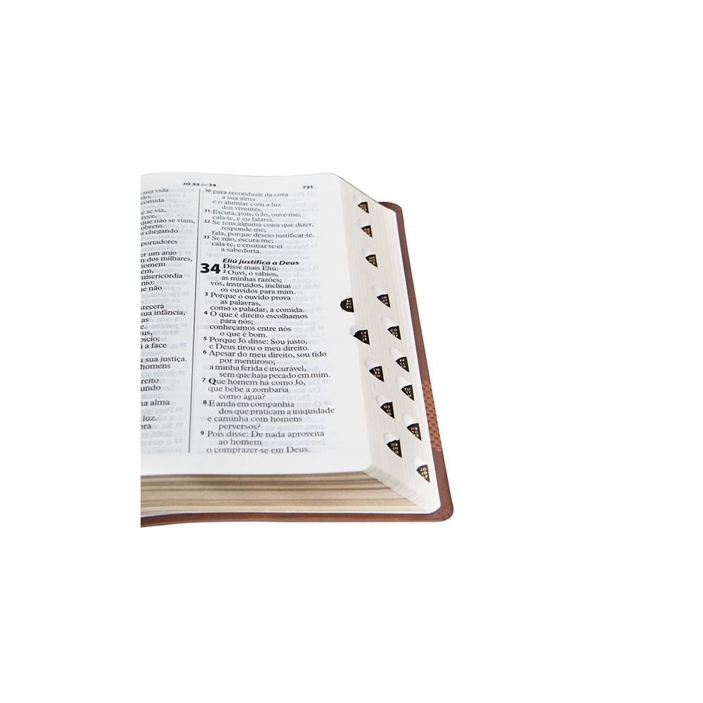 Bíblia Sagrada | Letra Gigante | ARA | Capa Marrom Claro Luxo | c/ Índice