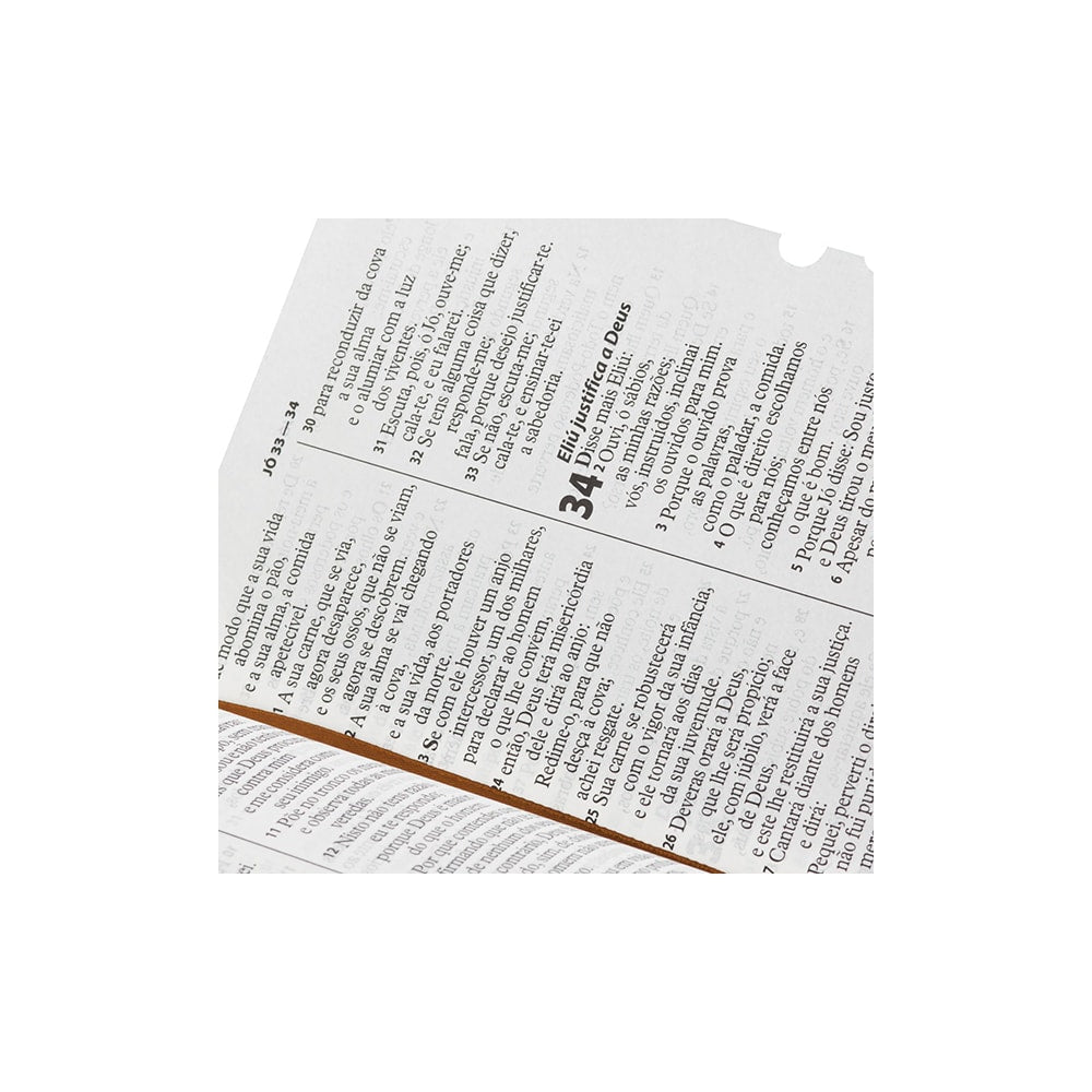Bíblia Sagrada | Letra Gigante | ARA | Capa Marrom Claro Luxo | c/ Índice