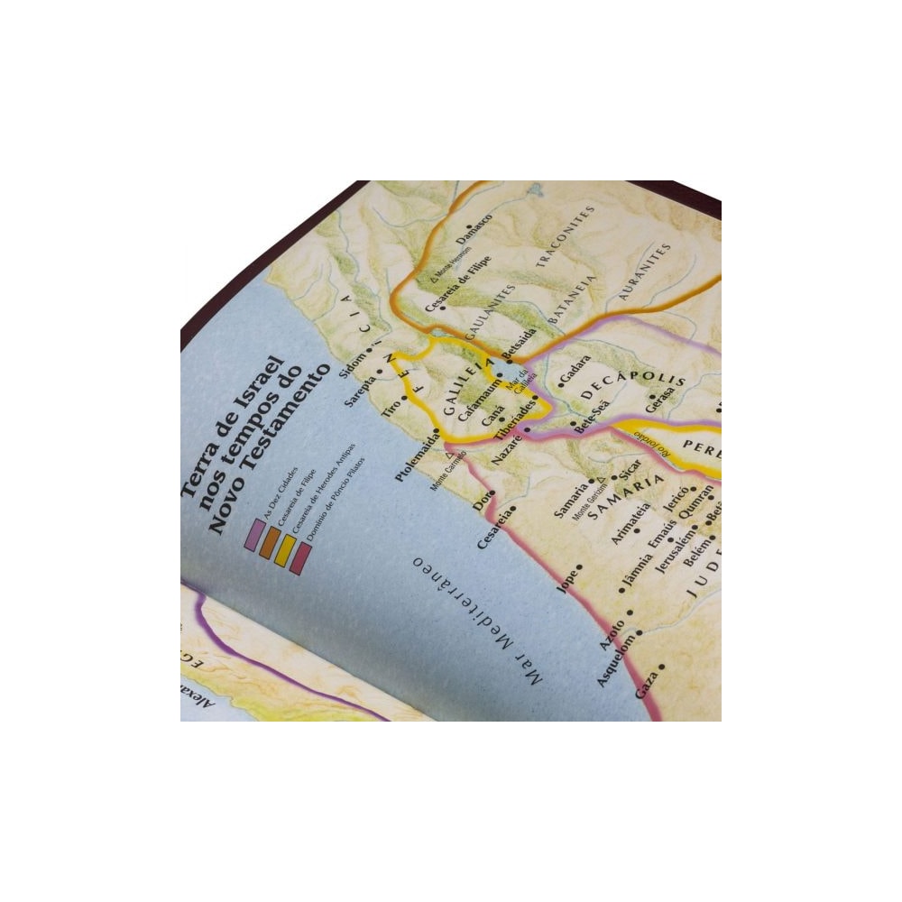 Bíblia De Estudo do Expositor | Letra Normal | NVTE | Capa Preta