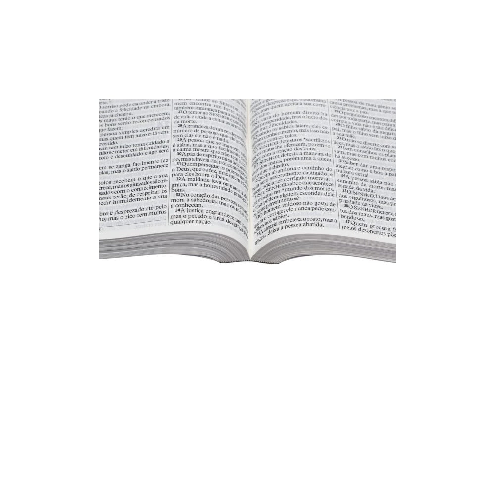 Bíblia Sagrada | Letra Grande | NTLH | Capa Ilustrada Popular