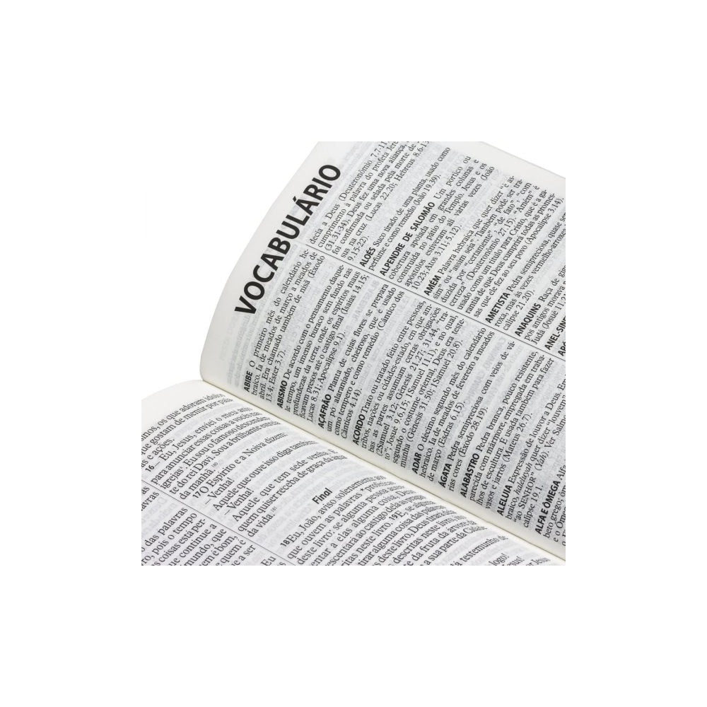 Bíblia Sagrada | Letra Grande | NTLH | Capa Ilustrada Popular
