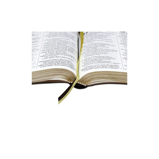 Bíblia Sagrada | Letra ExtraGigante | NTLH | Marrom Luxo | c/ Índice