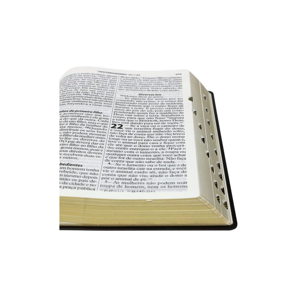 Bíblia Sagrada | Letra ExtraGigante | NTLH | Marrom Luxo | c/ Índice