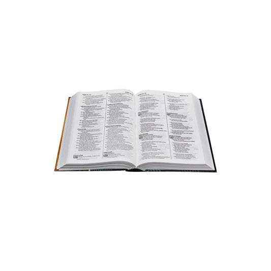 Bíblia Bilíngue Português/Inglês | Letra Normal | NTLH | Capa Ilustrada Popular