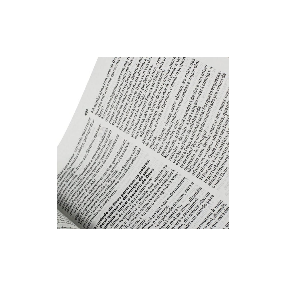 Bíblia Sagrada | Letra Maior | NAA | Capa Couro Preta