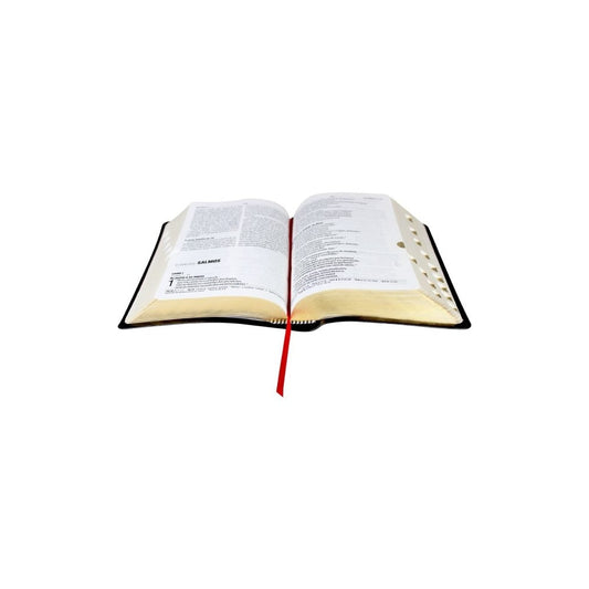 Bíblia Sagrada | NAA | Letra Grande | Capa Preta | c/ Índice