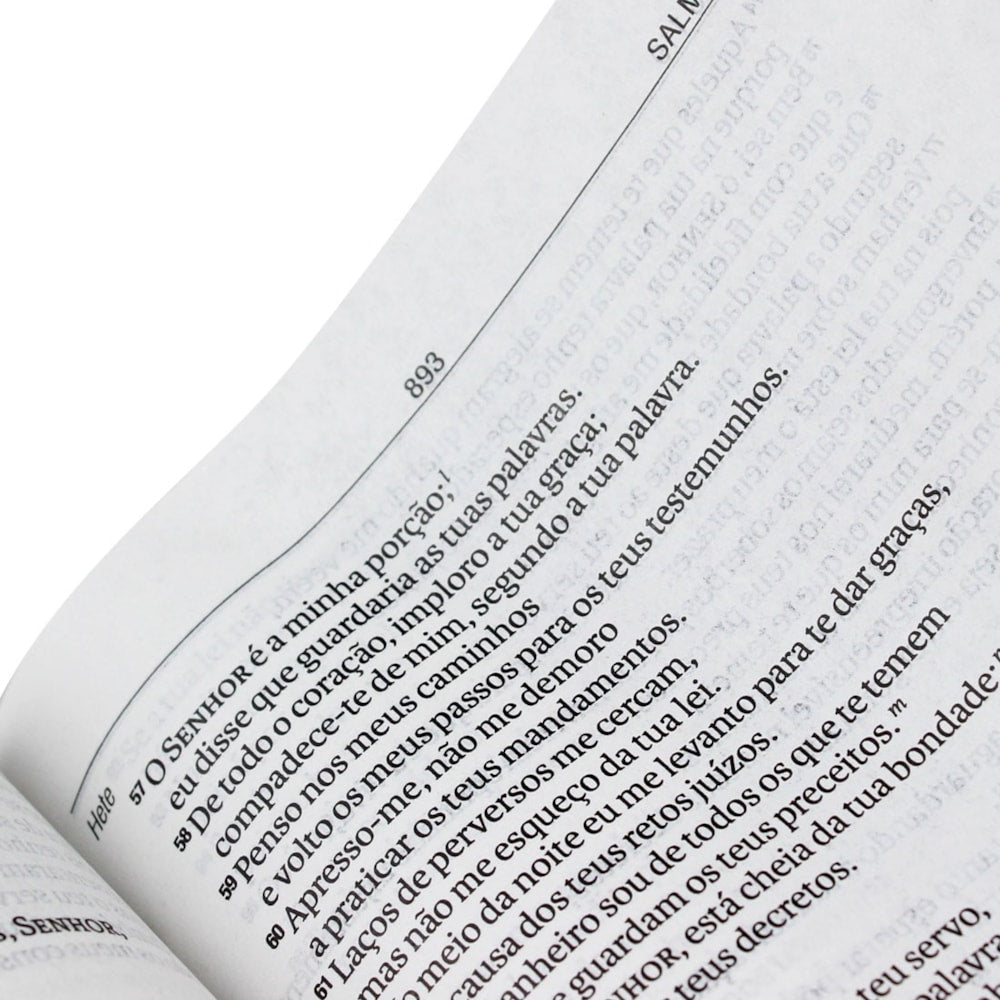 Bíblia Sagrada | NAA | Letra Grande | Capa Preta | c/ Índice