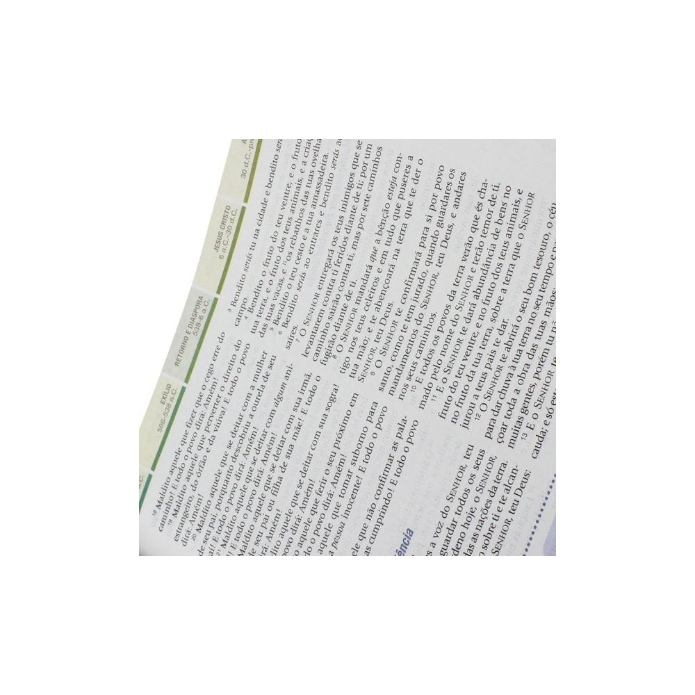Bíblia de Estudo em Ordem Cronológica Aplicação Pessoal | ARC | Letra Normal | Capa Marrom Claro/Escuro