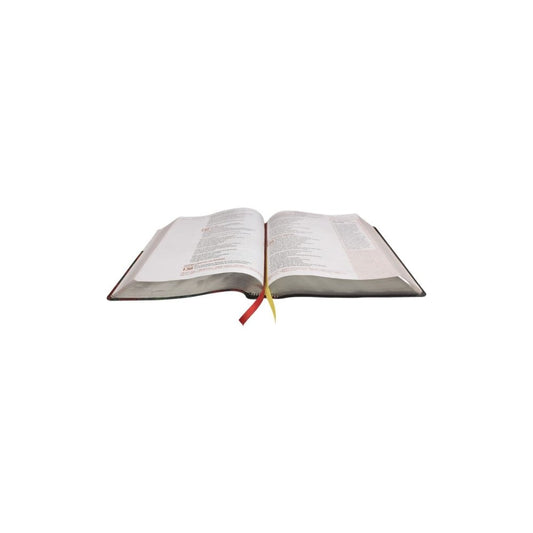 Bíblia Sagrada Verdadeira Identidade | Letra Normal | NAA | Capa Lettering