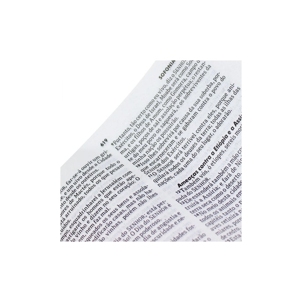 Bíblia Sagrada | Letra Normal | NAA | Capa Rosa Claro