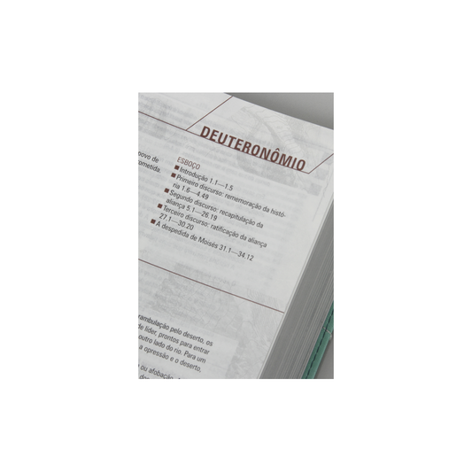 Bíblia Sagrada - Jornada com Cristo | NVT | Capa Verde