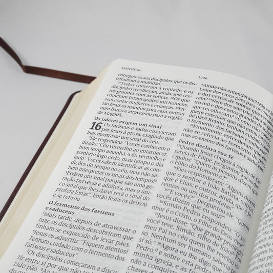 Bíblia Sagrada | NVT Letra Grande | Preta Luxo