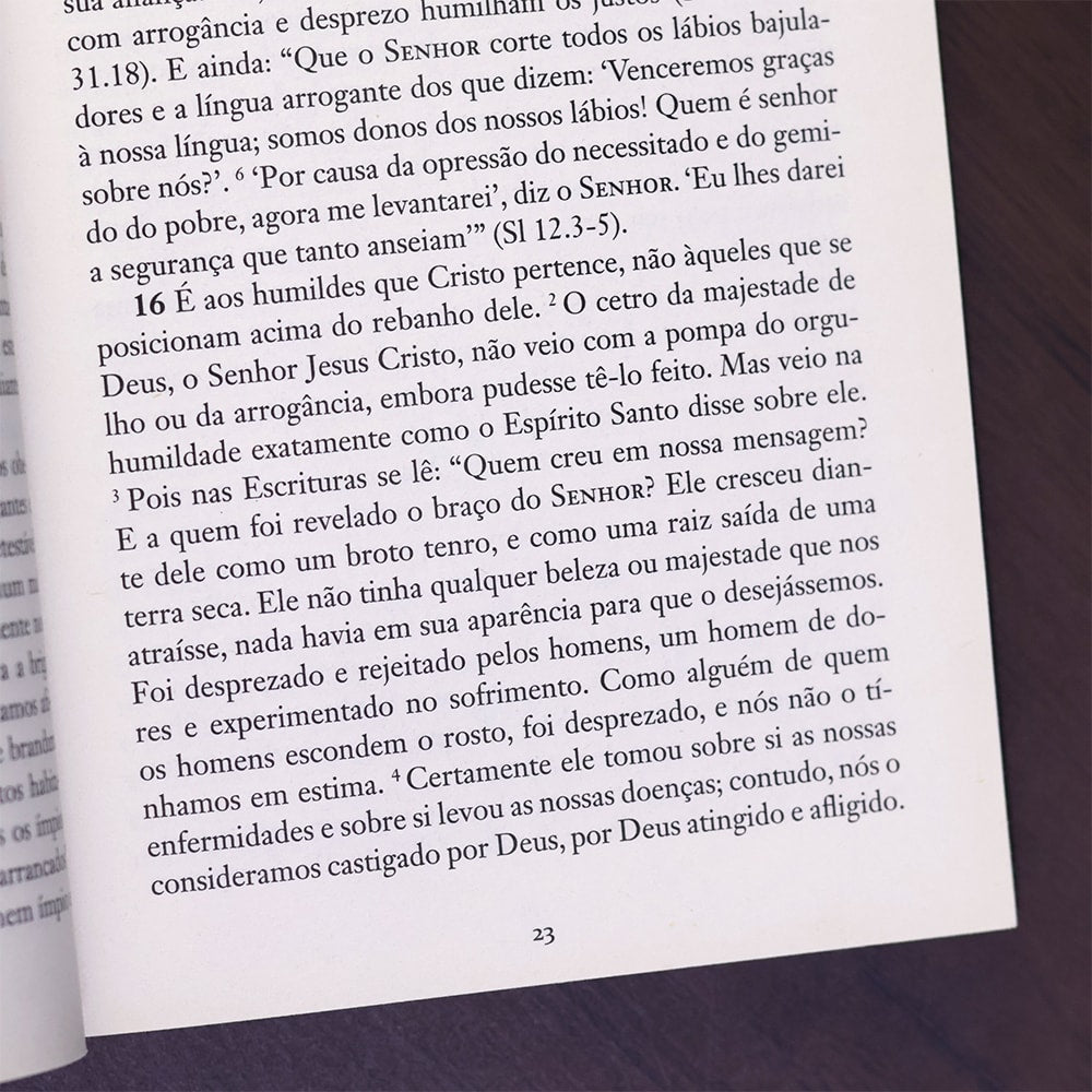 Pais Apostólicos
