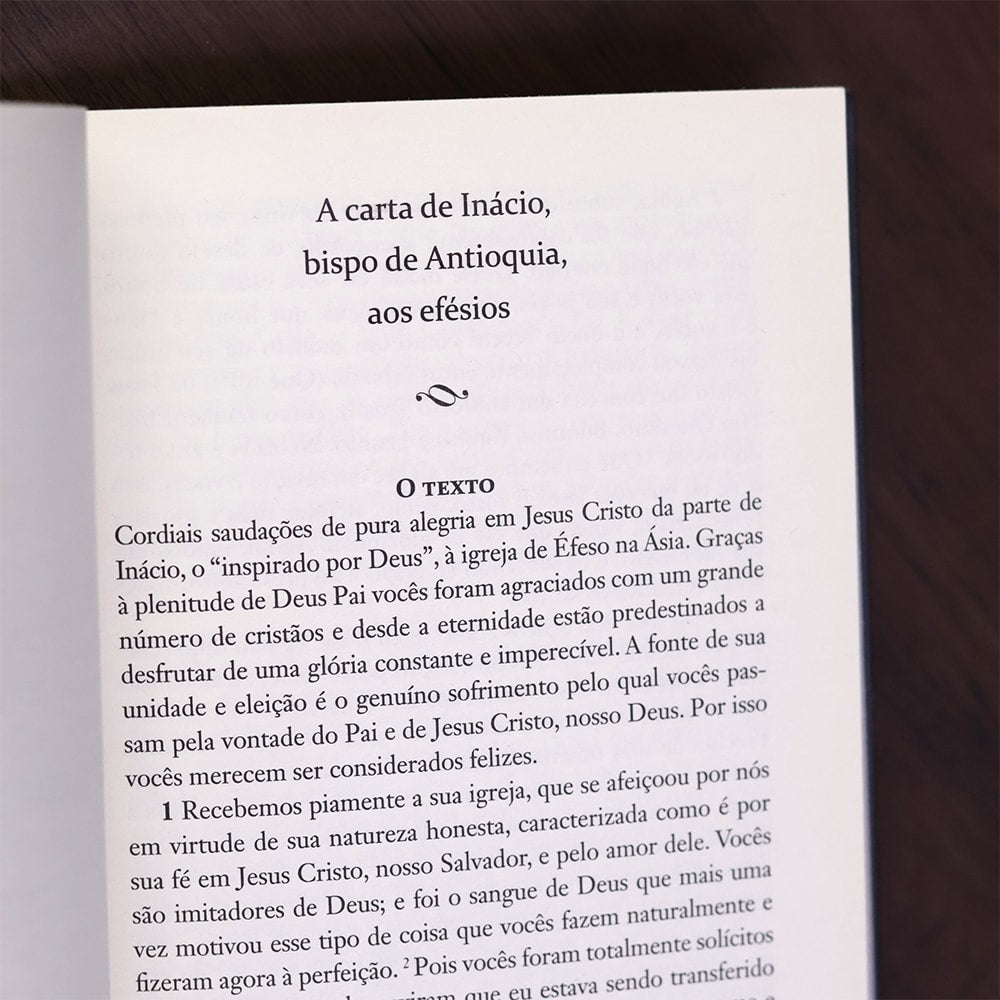 Pais Apostólicos