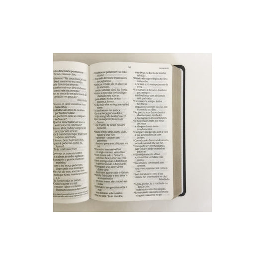 Bíblia Sagrada Lion Head | NVT Letra Grande | Capa Soft Touch Leão