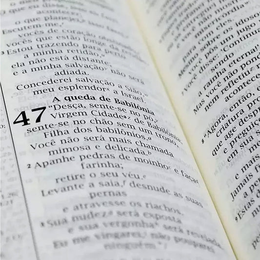 Bíblia de Estudo | NVI | Luxo Marrom e Marrom Escuro | Sem Índice