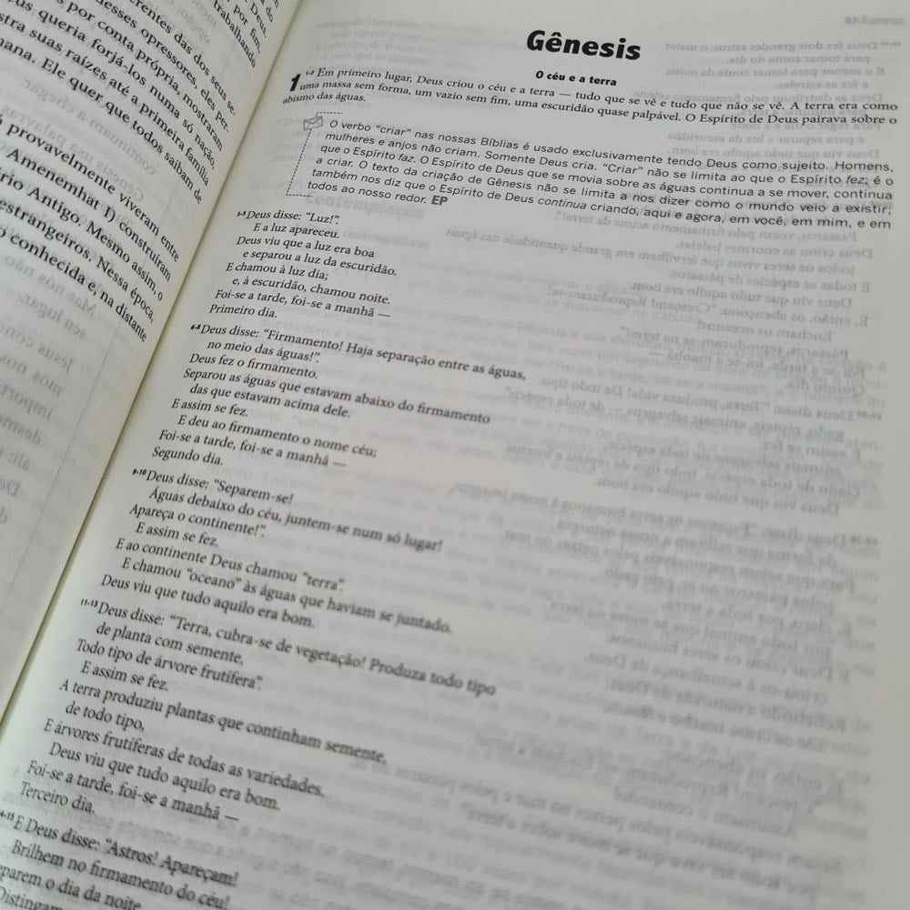 Bíblia de Estudo - A Mensagem | Letra Normal | Vermelha e Cinza