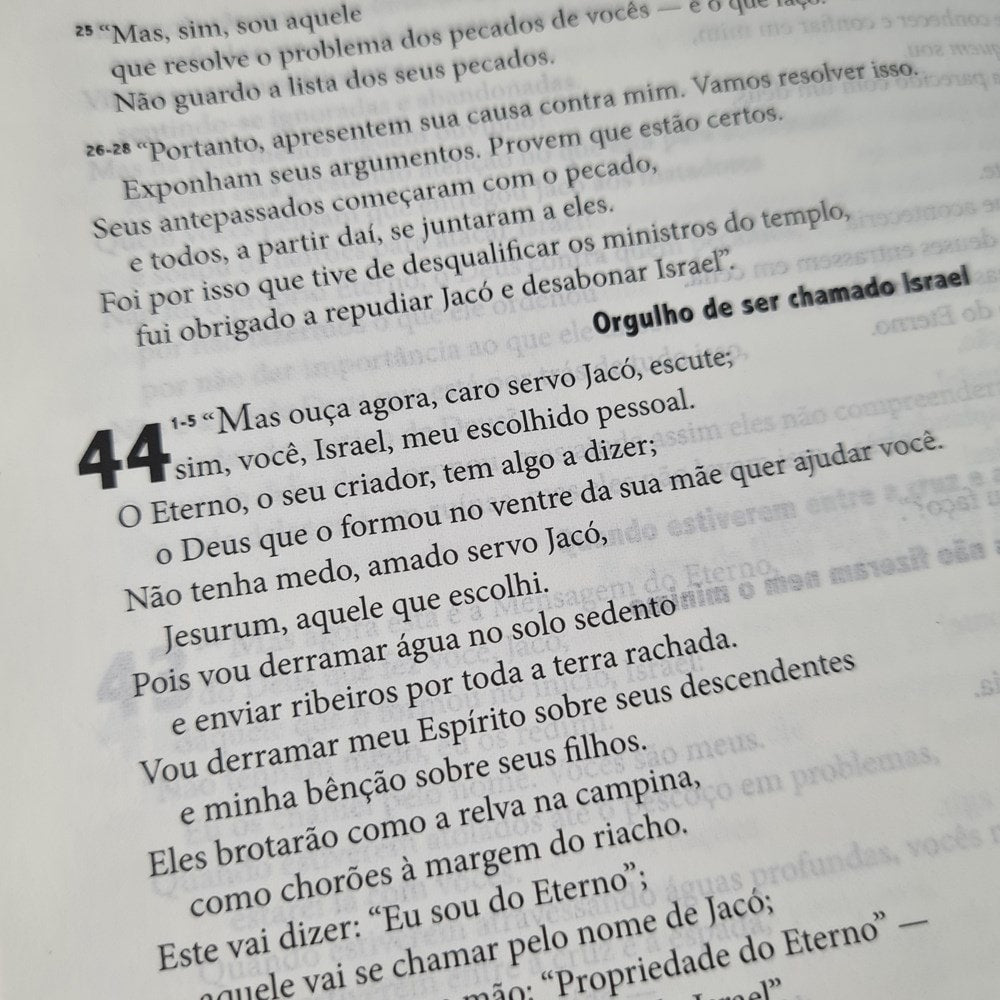 Bíblia de Estudo - A Mensagem | Letra Normal | Vermelha e Cinza