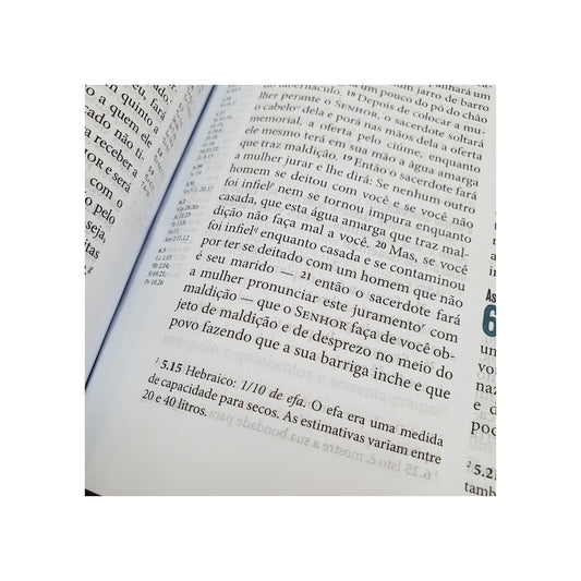 Bíblia Ministerial | NVI Letra Normal | Capa Marrom