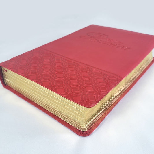 Bíblia do Pescador | Letra Grande | NVI | Capa Vermelha