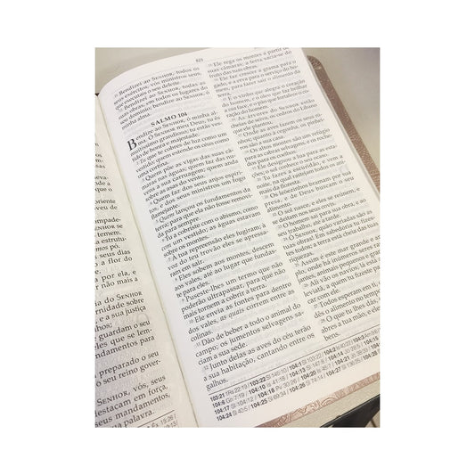 Bíblia King James Para Mulheres BKJ | Marrom