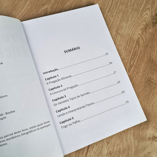 Pregação Eficiente | Paulo Rogério Petrizi