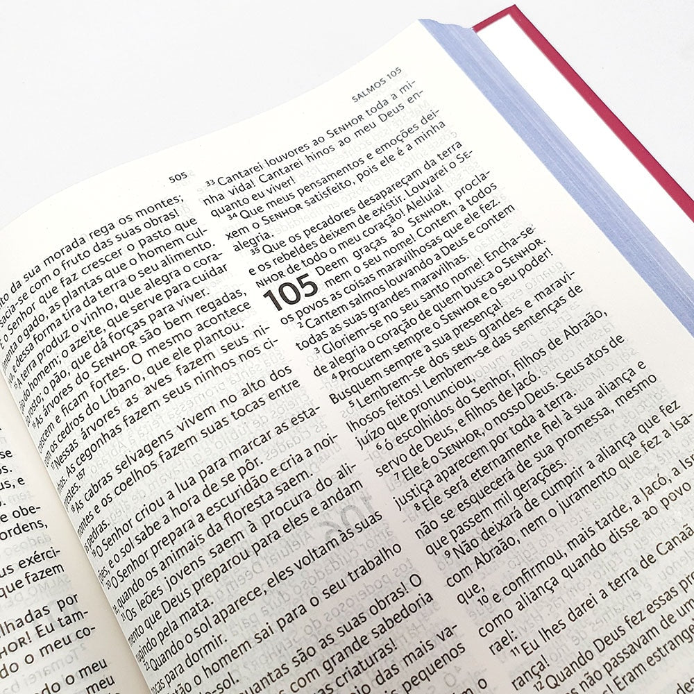 Nova Bíblia Viva | NBV Letra Grande | Liberdade