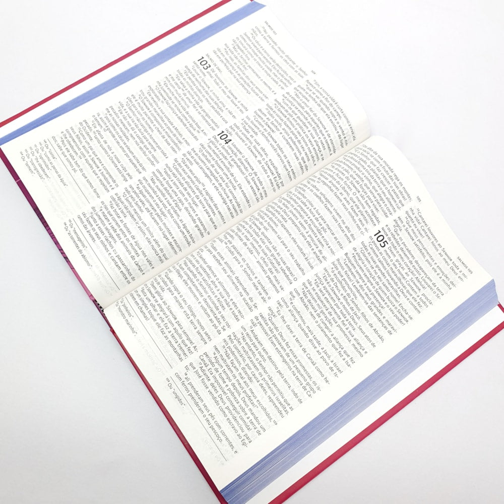 Nova Bíblia Viva | NBV Letra Grande | Liberdade