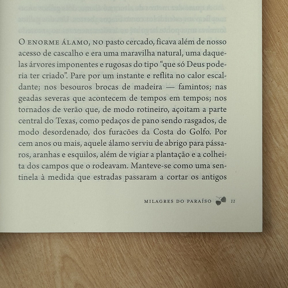 Milagres do Paraíso | Christy Wilson Beam