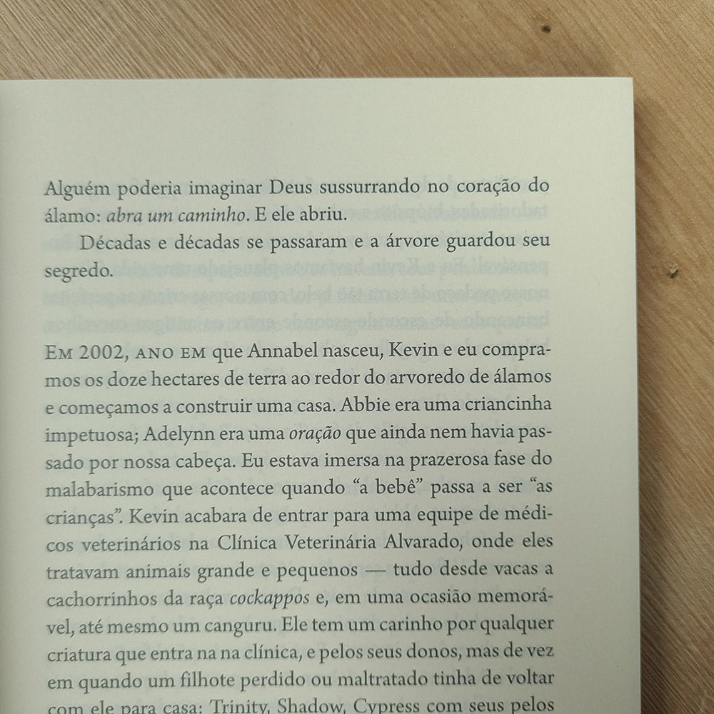 Milagres do Paraíso | Christy Wilson Beam