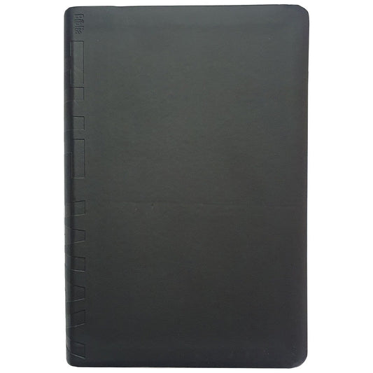 Bíblia the Way - O Caminho | Letra Normal | NTLH | Capa Luxo Preta