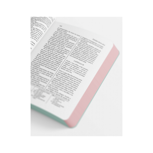 Bíblia Sagrada Jesus Freak | NVI | Capa Dura Ypê Flores