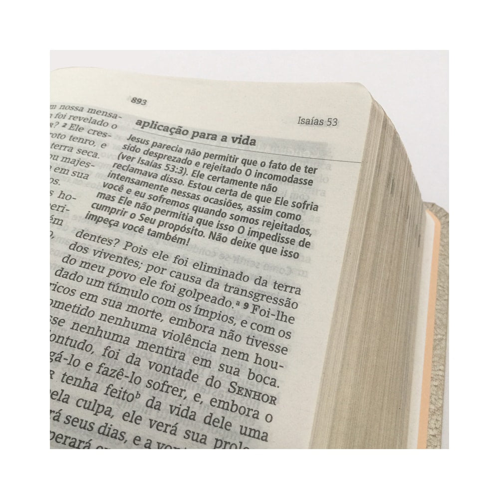 Bíblia De Estudo Joyce Meyer | NVI | Letra Média | Capa Rosa