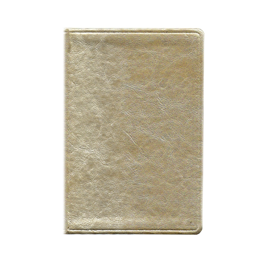 Bíblia De Estudo Joyce Meyer | NVI | Letra Média | Capa Dourada