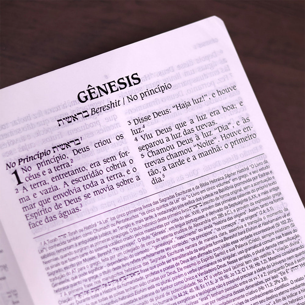 Bíblia de Estudo King James | KJA Letra Grande | Preta