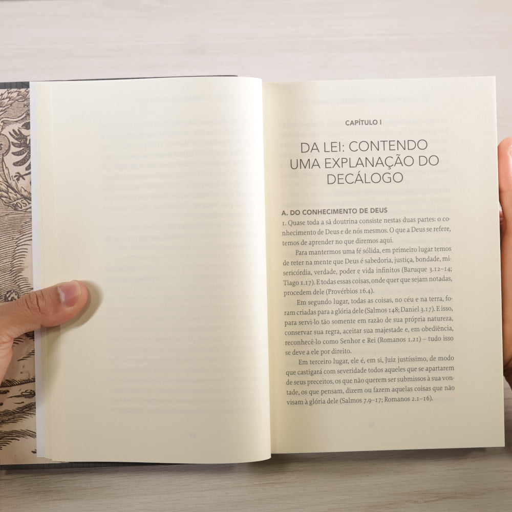 Institutas da Religião Cristã | João Calvino
