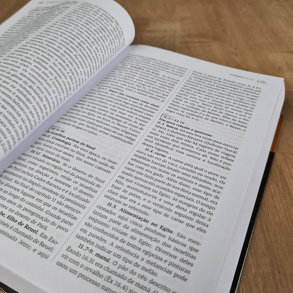 Comentário Histórico-Cultural da Bíblia | Antigo Testamento | John H Walton