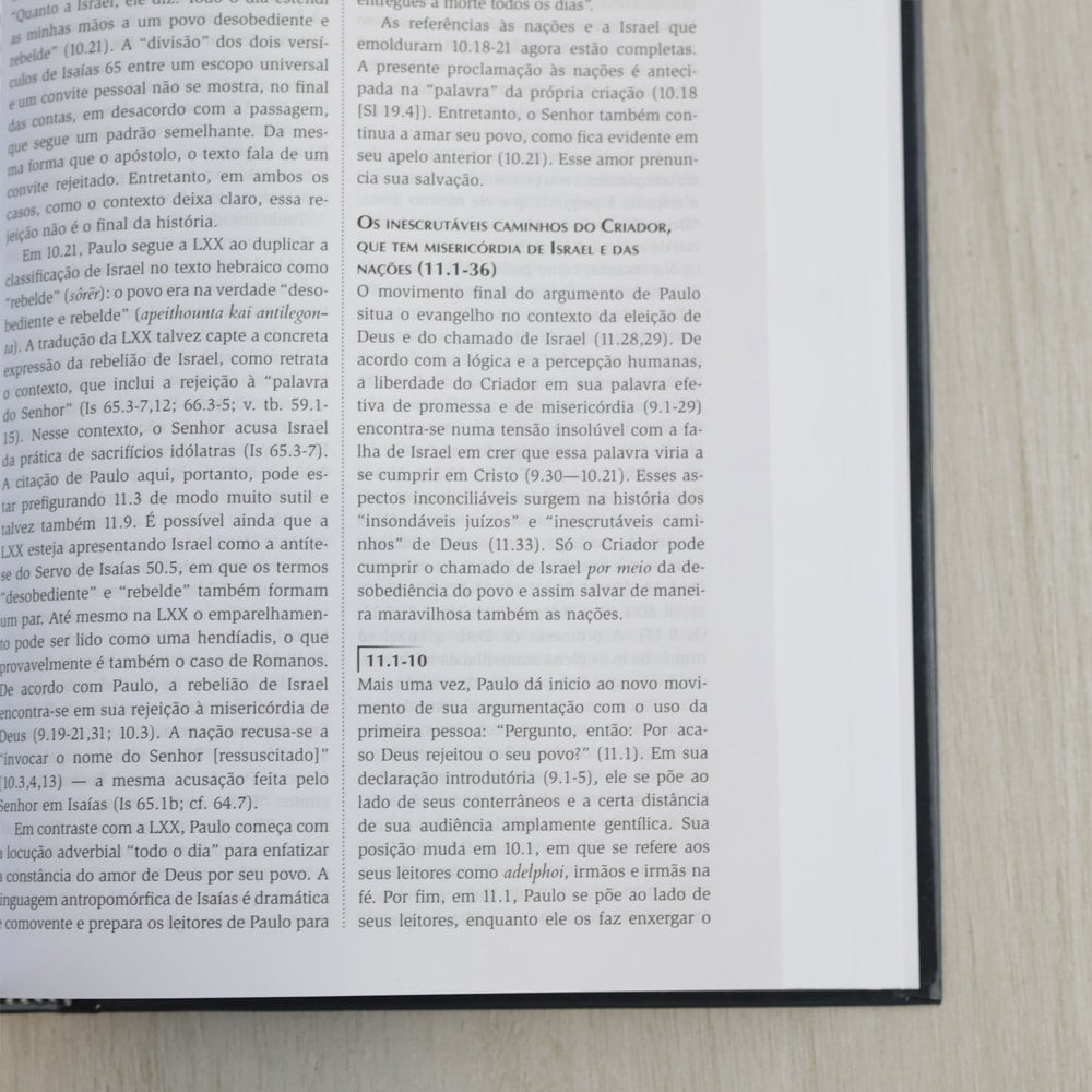 Comentário do uso do Antigo Testamento no Novo Testamento | G K Beale e D A Carson