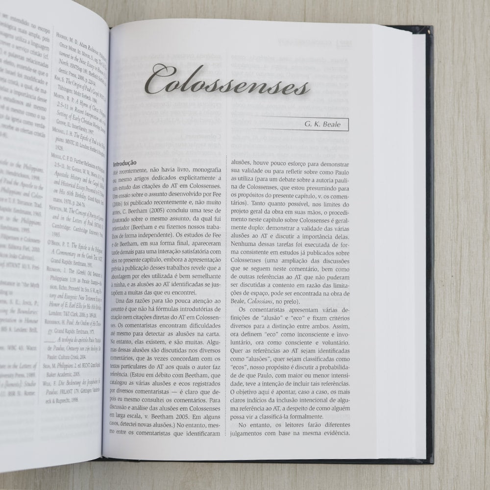 Comentário do uso do Antigo Testamento no Novo Testamento | G K Beale e D A Carson