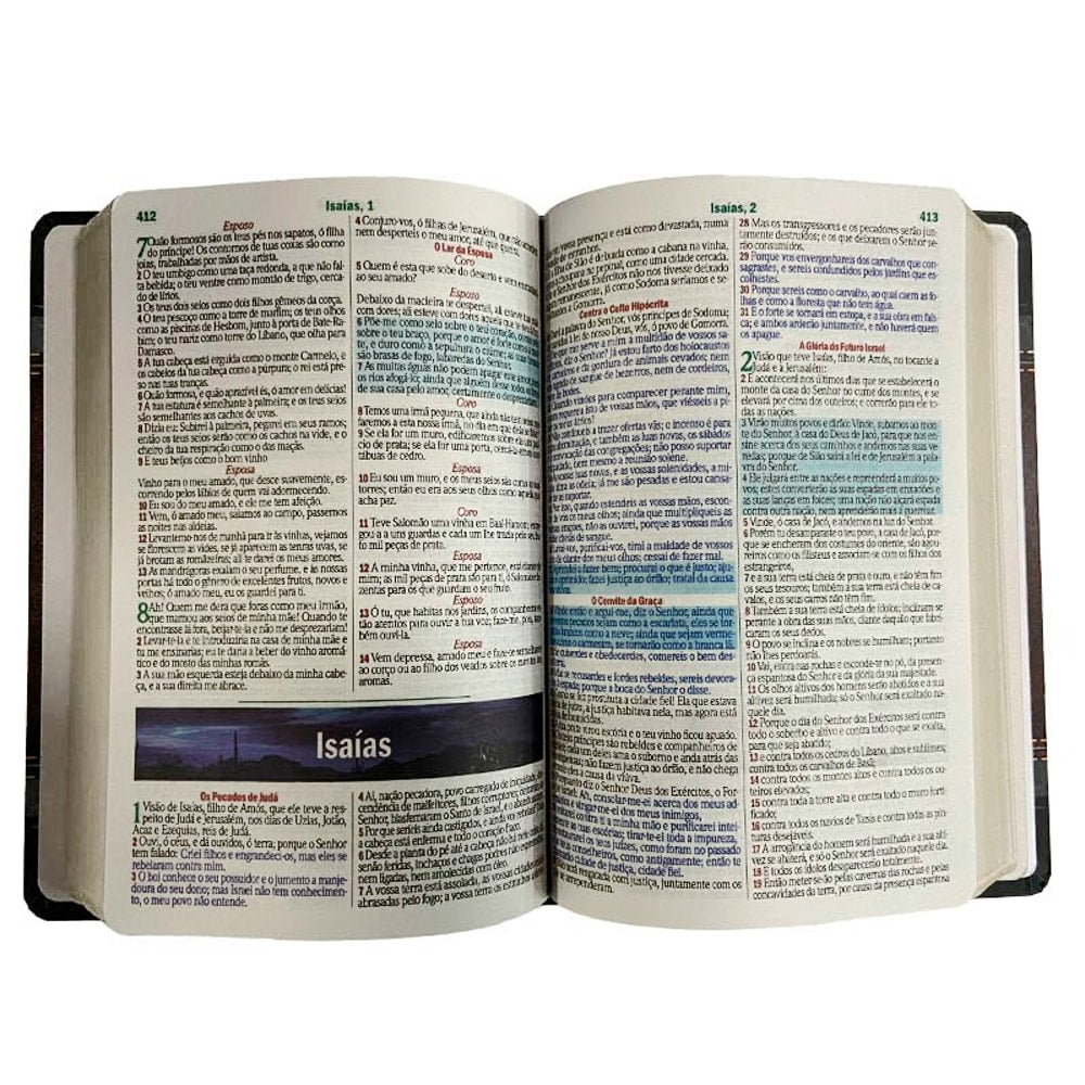 Bíblia Sagrada com Harpa Avivada e Corinhos | Letra Gigante | ARC | Laminada Preta e Dourado