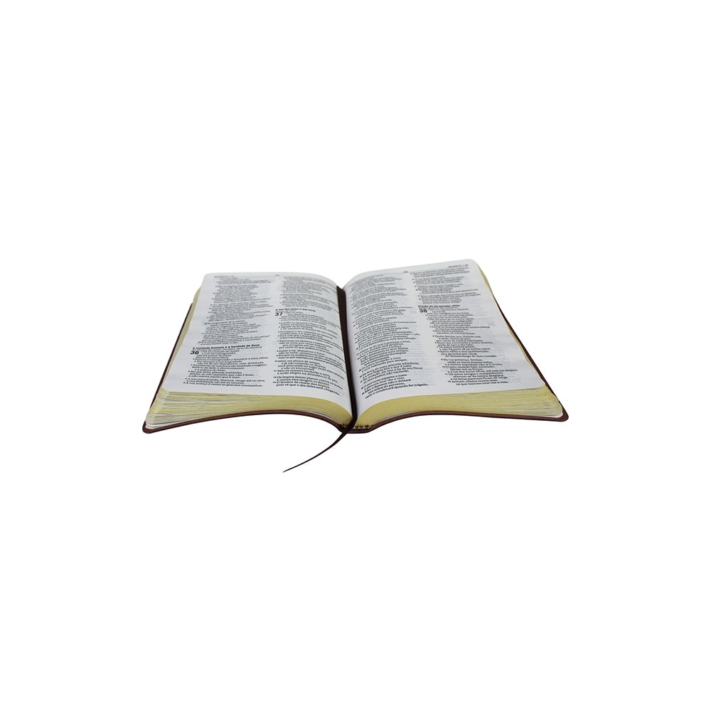 Bíblia Sagrada Missionaria | NAA | Letra Normal | Capa Marrom