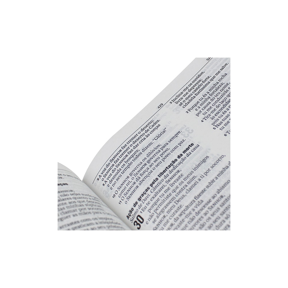 Bíblia Sagrada Missionaria | NAA | Letra Normal | Capa Marrom