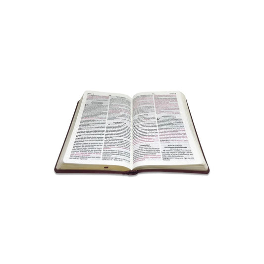 Bíblia Assembleia de Deus | ARC | Vinho Capa Igreja