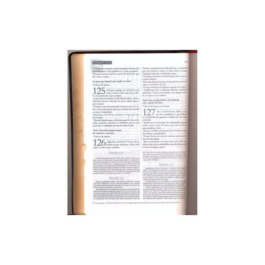 Bíblia de Estudo Explicada | ARC | Dicionário | Capa Preta Forro