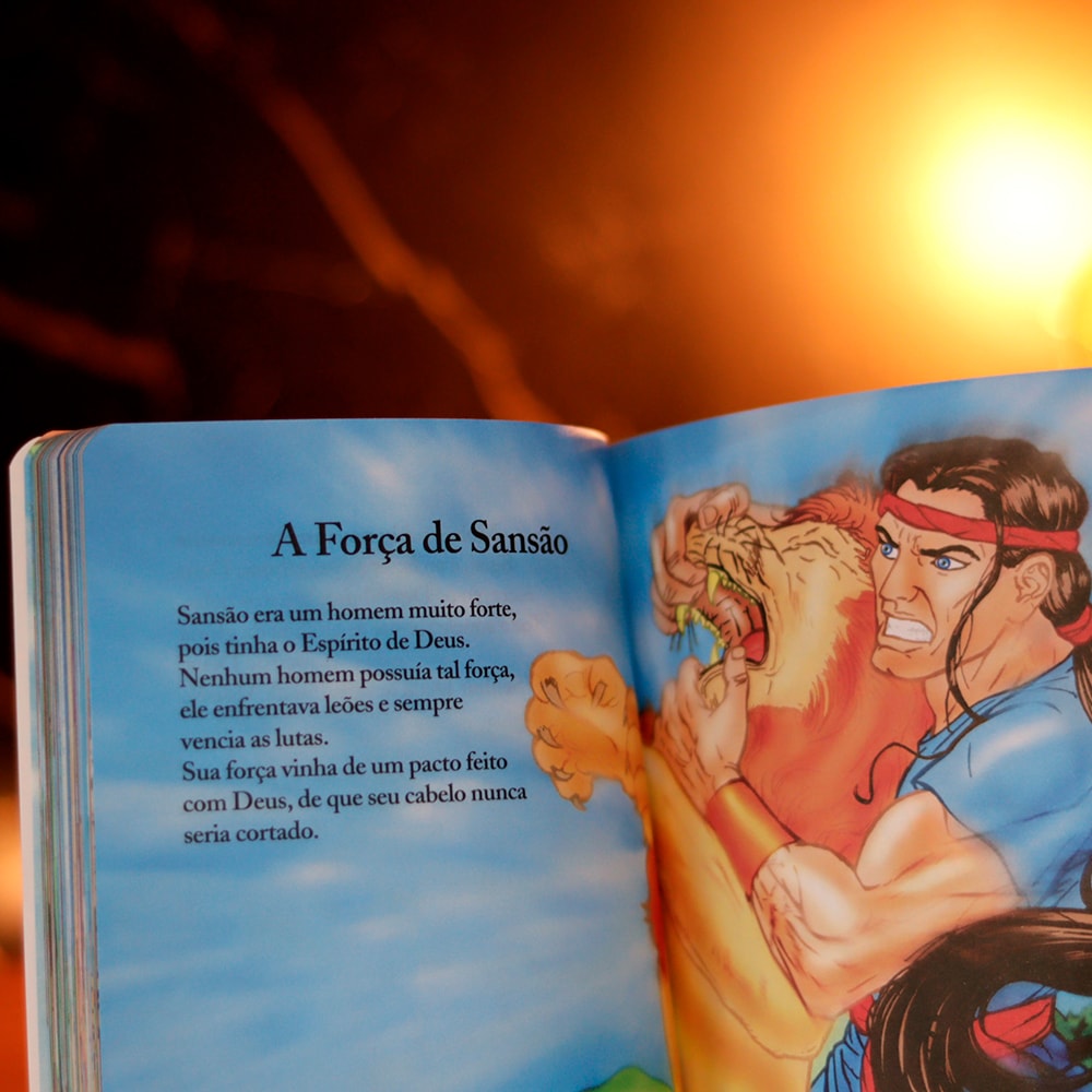 Bíblia Infantil e Seus Heróis