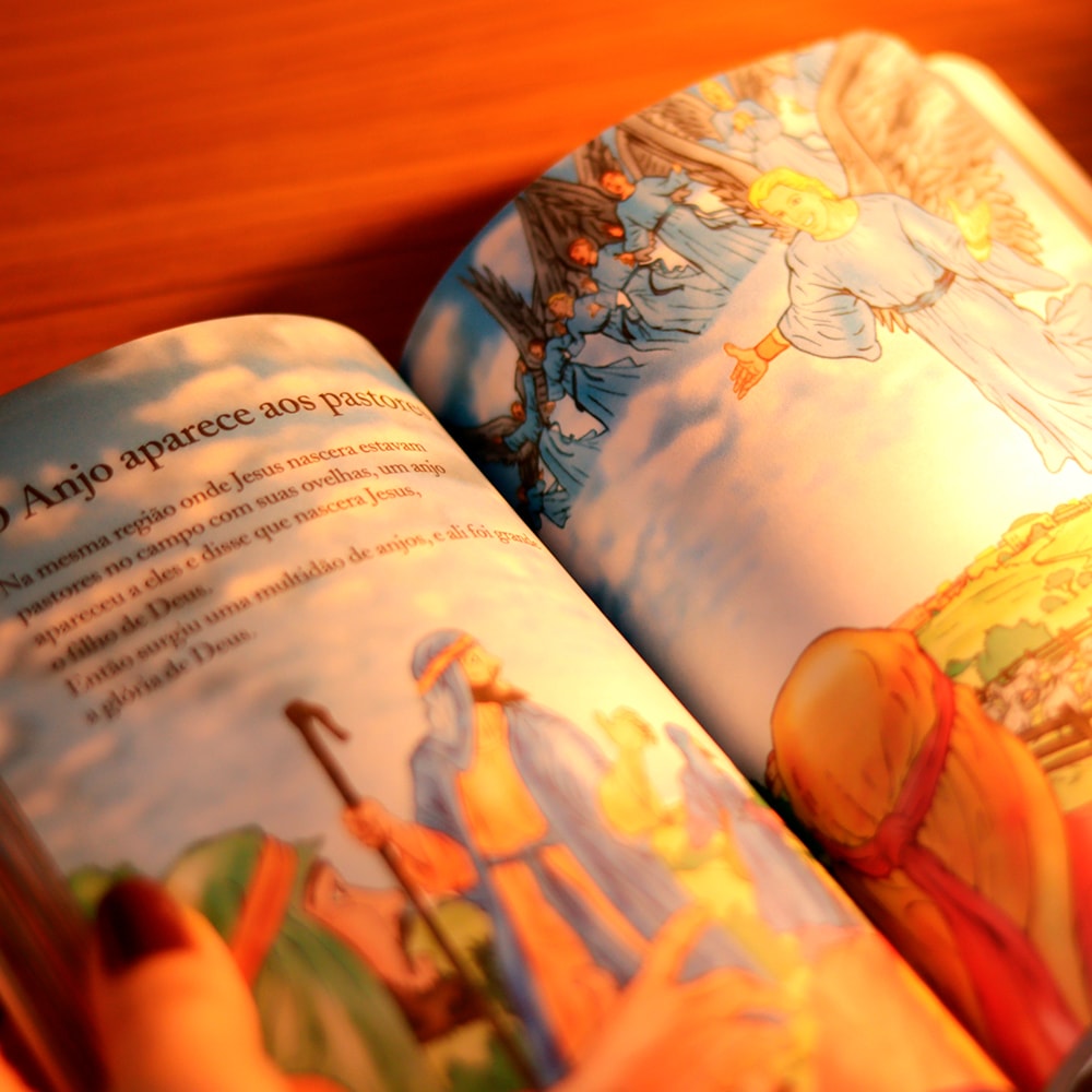 Bíblia Infantil e Seus Heróis